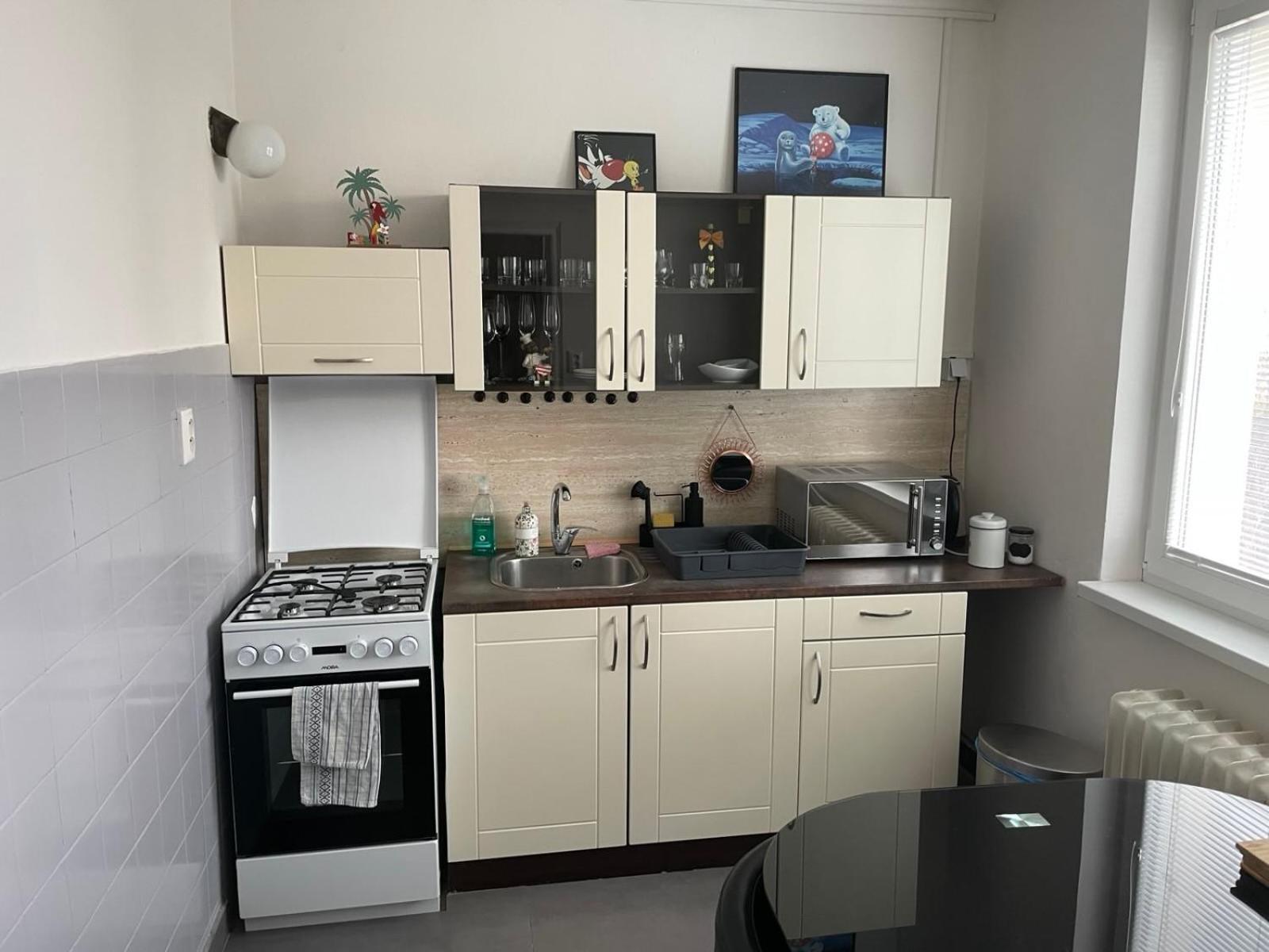 Apartman Sabo Komenskeho Kosice Bagian luar foto